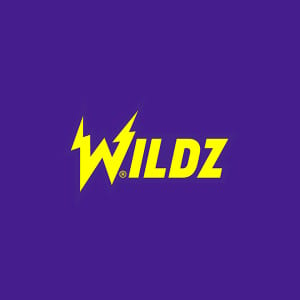 wildz-casino-logo-desktop